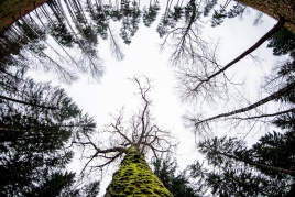 Asociatyvi iliustracija/ Vlado Ščiavinsko nuotrauka Asociatyvi iliustracija/ Vlado Ščiavinsko nuotrauka